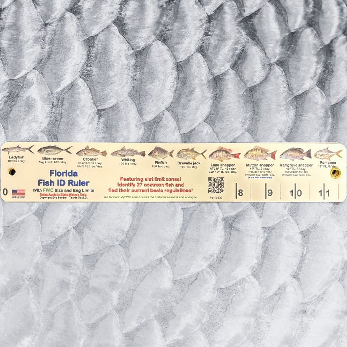 Florida Fish ID Ruler
