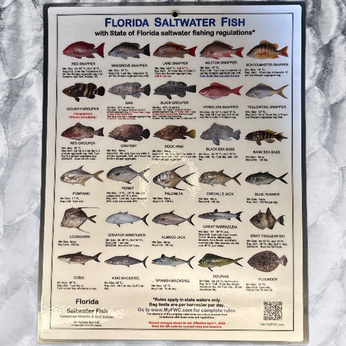 LG FL Saltwater Fish ID Card