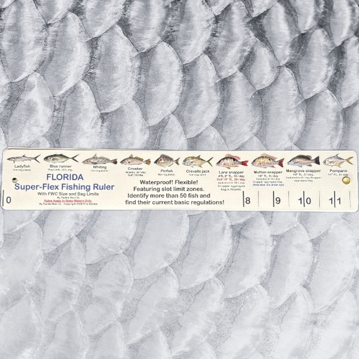 Florida Fish ID FLEX Ruler