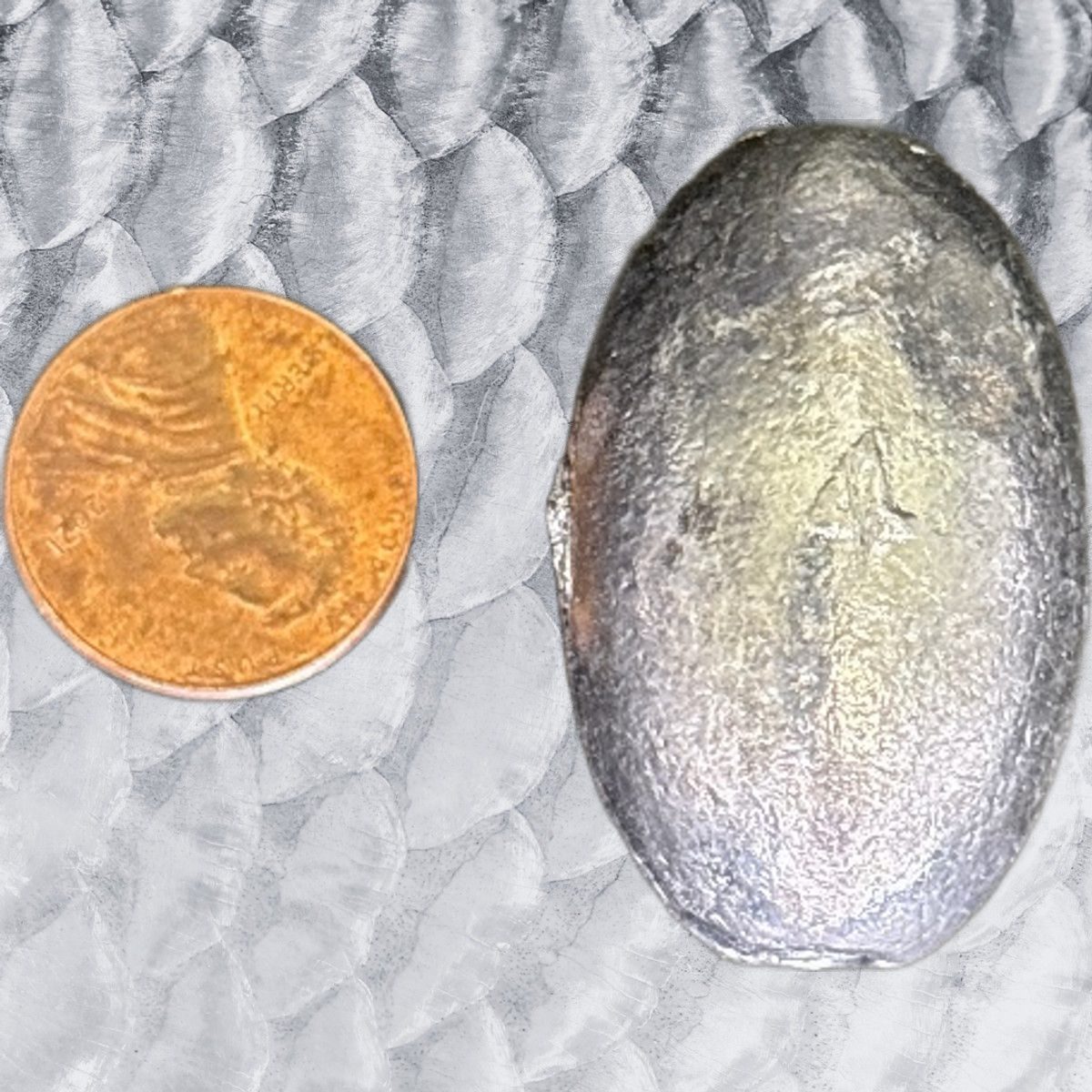 4 oz egg sinker 5lb