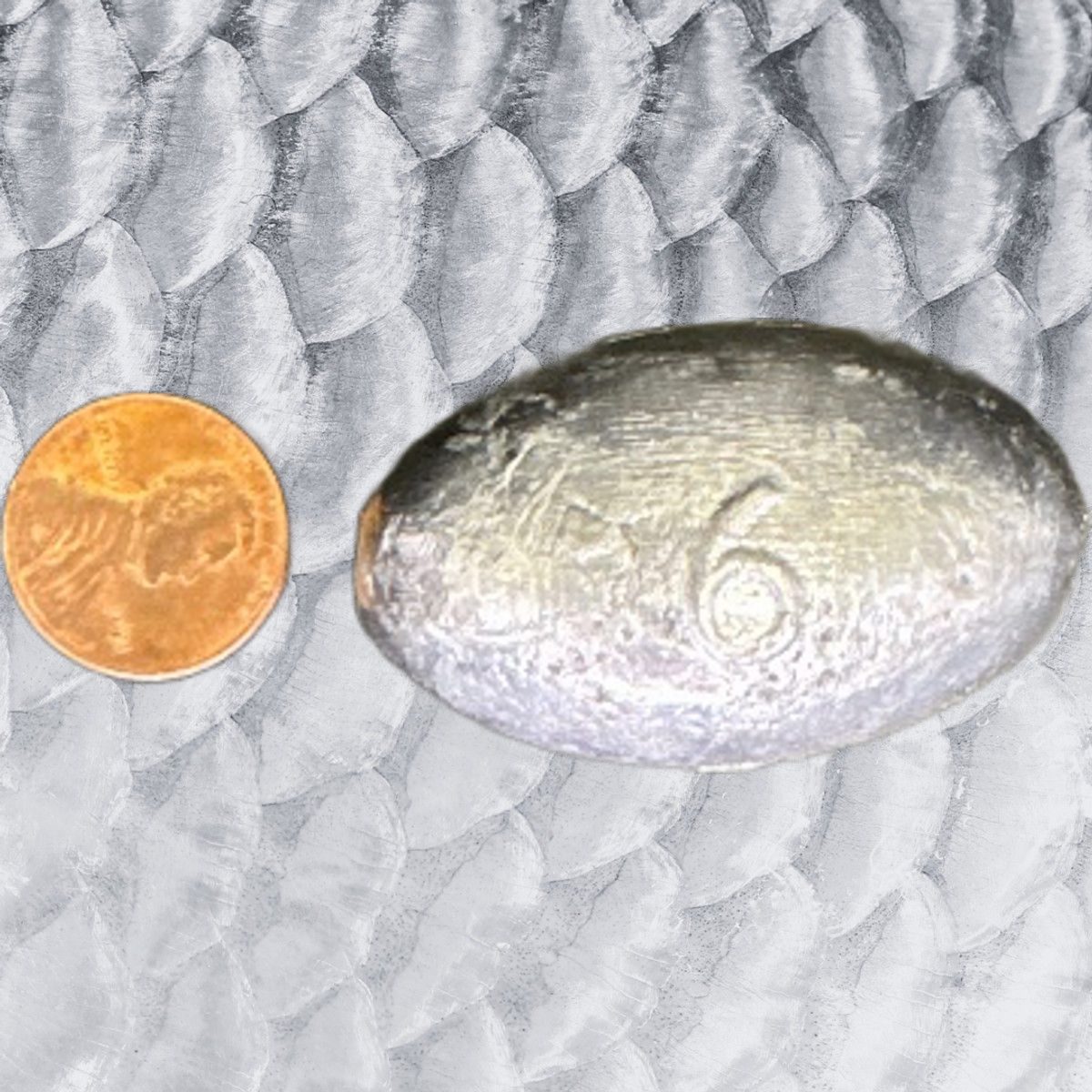 6 oz egg sinker 5lb