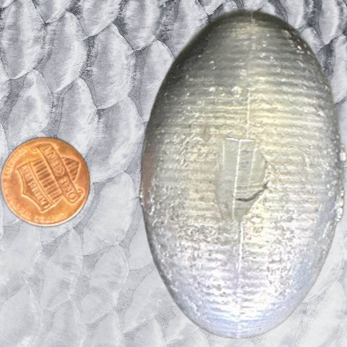 24oz Egg Sinker 4lb