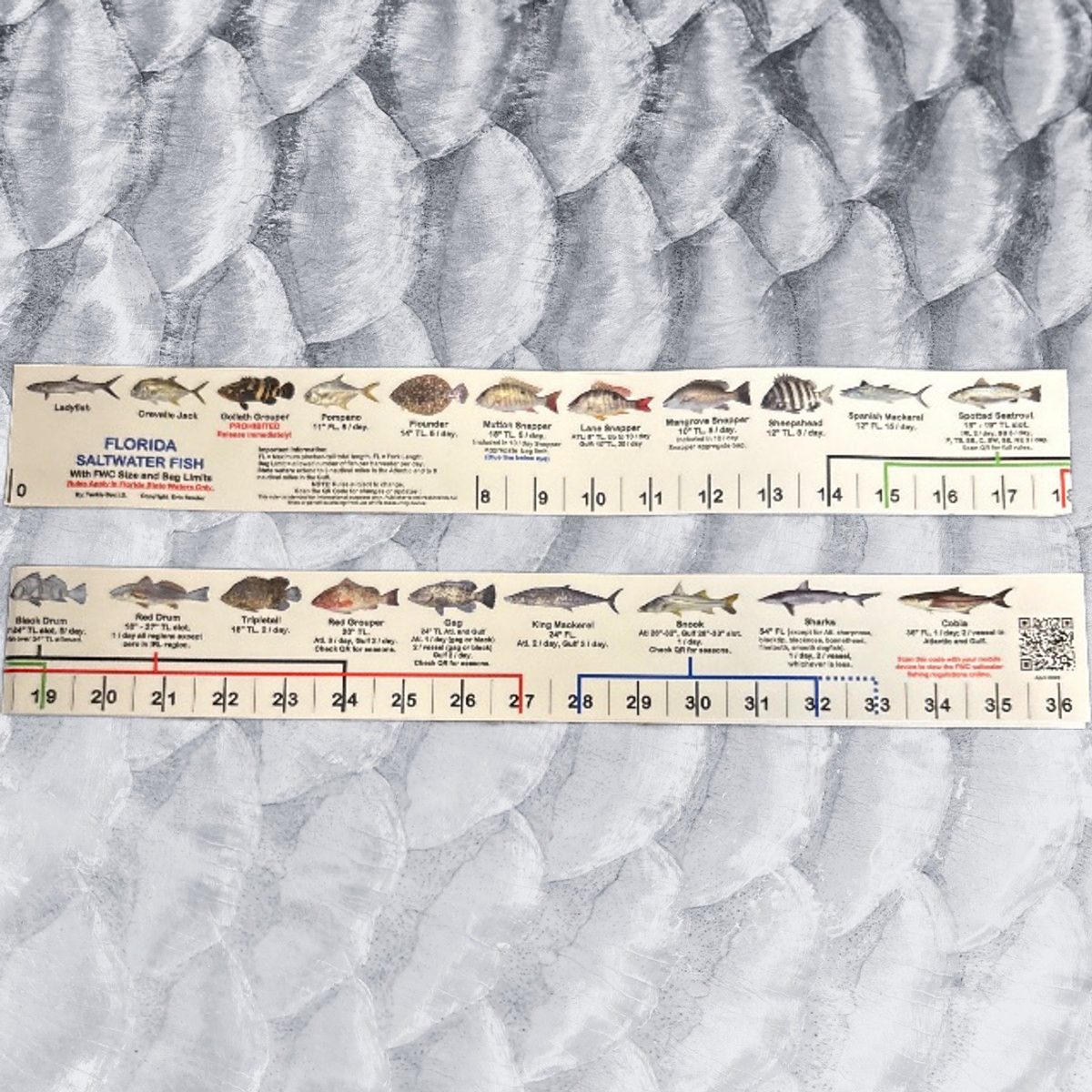 Tackle Box ID - Fish Decal