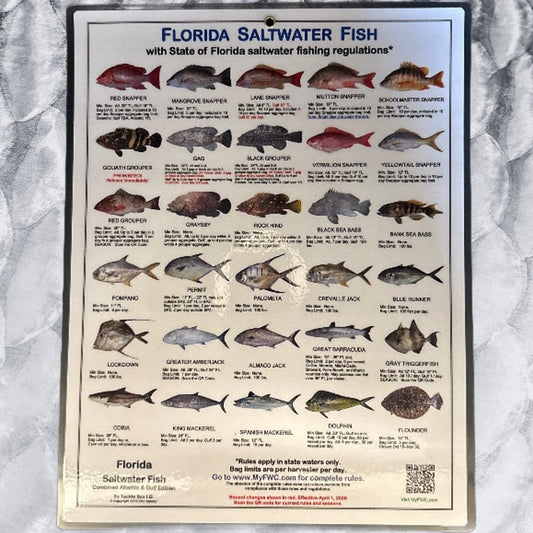LG FL Saltwater Fish ID Card