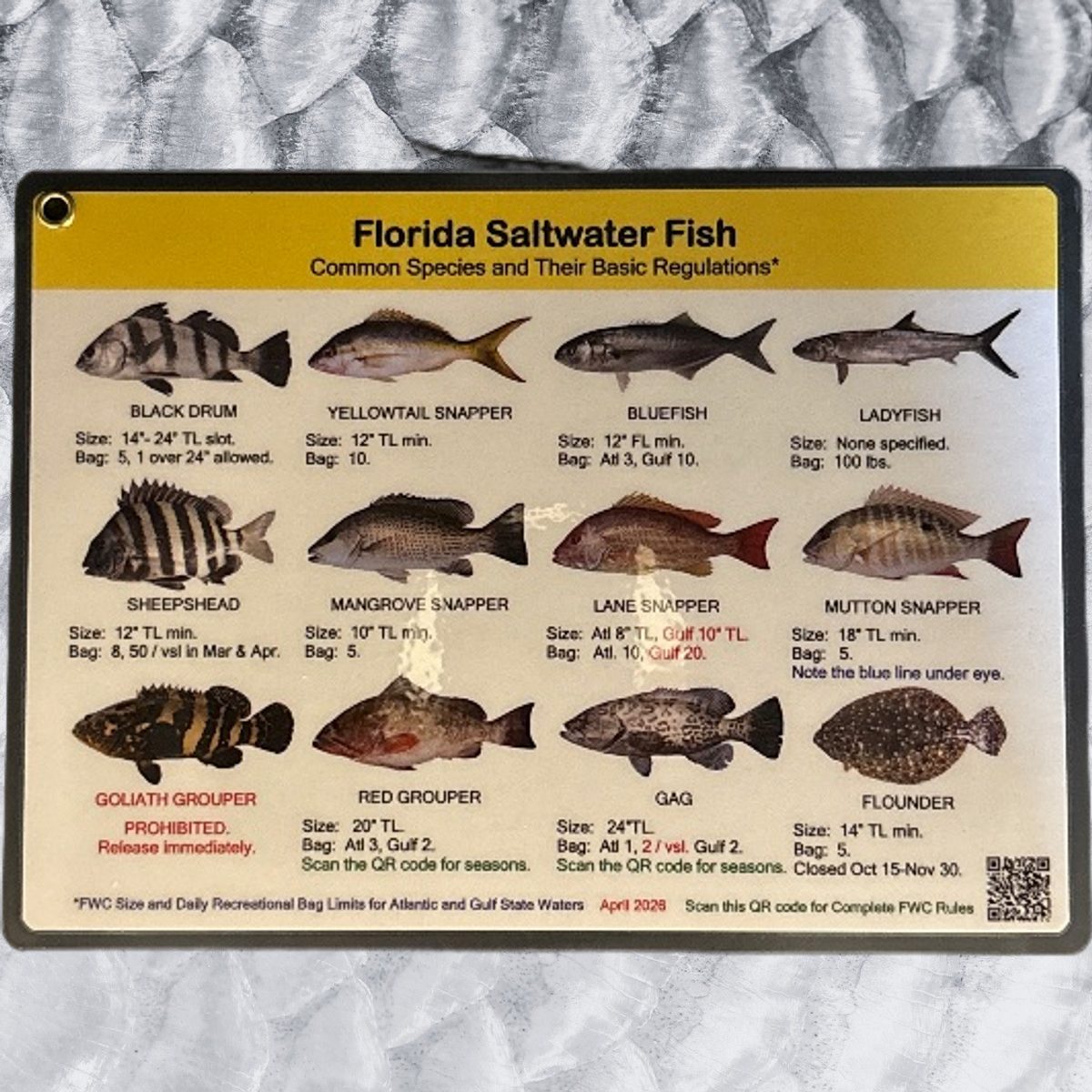 SM FL Saltwater Fish ID Card