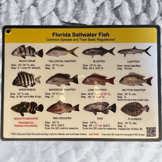 SM FL Saltwater Fish ID Card