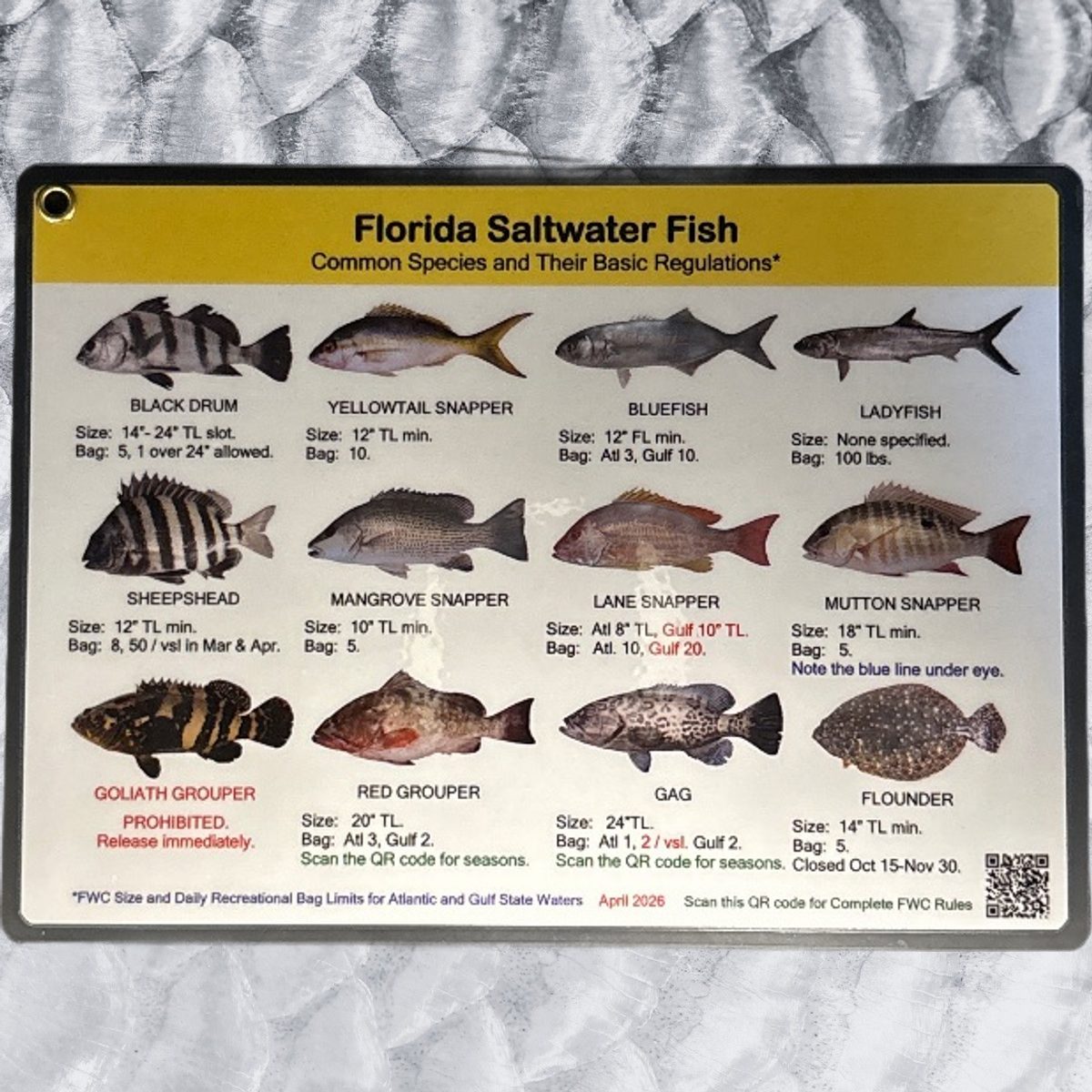 SM FL Saltwater Shark ID Card