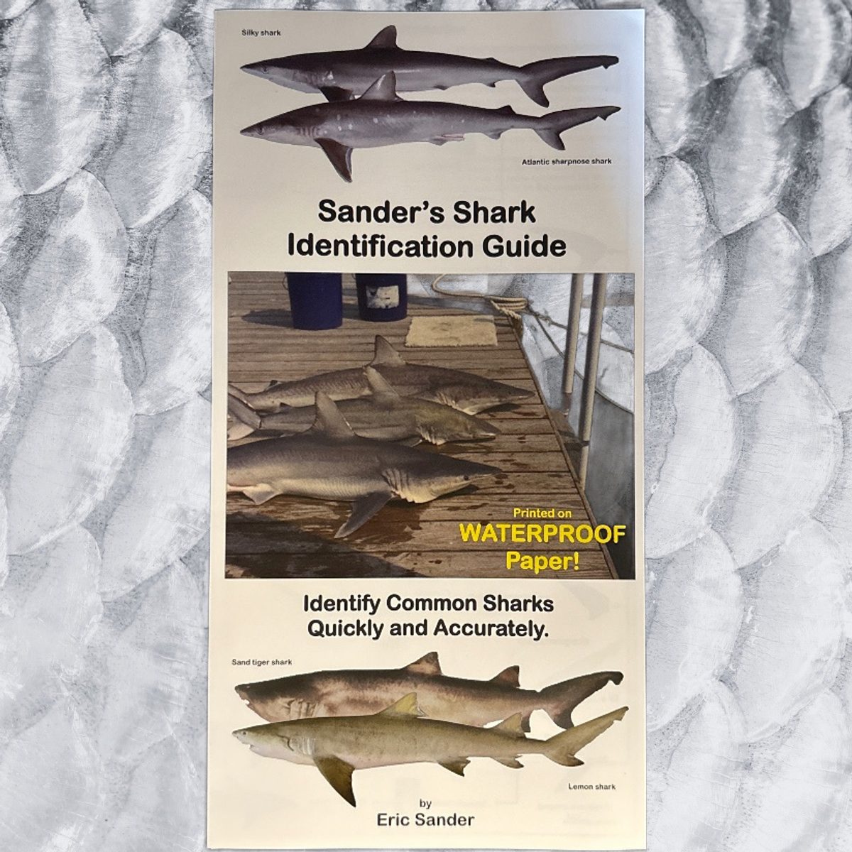 Sanders Shark ID TRI-FOLD
